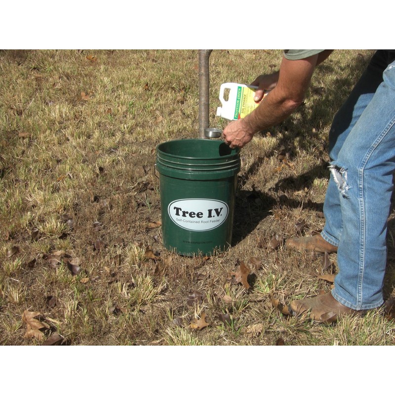 Tree I.V. DIY Root Seeker 10-pk w/Plugs & Drill |