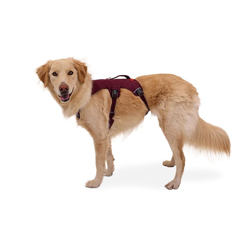 RUFFWEAR 1874137 Webmaster Harness (XXS, Red Smack) (RDSMC)