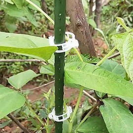 WsjiaboFux 100Pcs White Secured Plastic Plant Clip, Plant Clips for Climbing Plants,Plant Clips for Climbing Plants,Plant Support Garden Clips Plant Support Structures