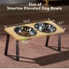 Smartoo Elevated pet bowls For Cats And Dogs by Smartoo