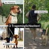 Sniffls Premium Dog Lead for Small and Medium Dogs Lightweight