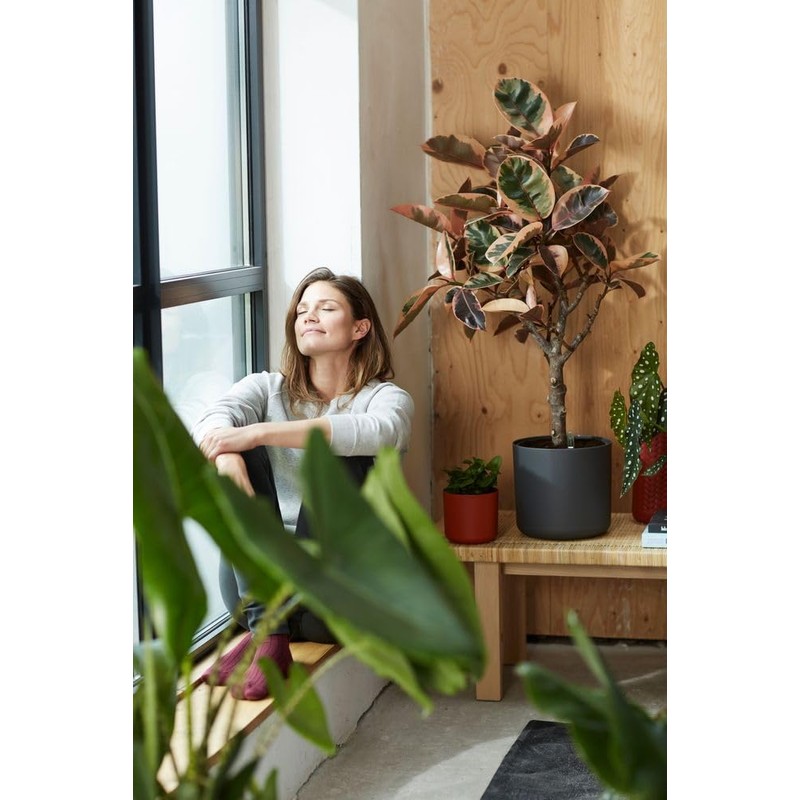 Elho B.for Soft Flower Pot