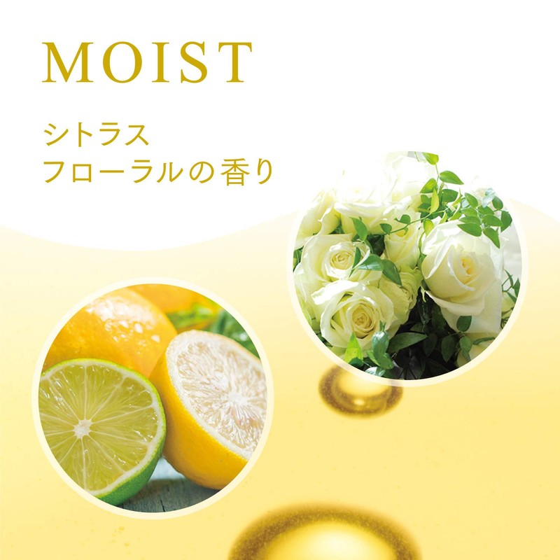 Ichikami Natural Care Select Moist Treatment Pump 16.9 oz (480