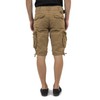 Schott NYC Men's Swimming Shorts, Beige (beige beige)