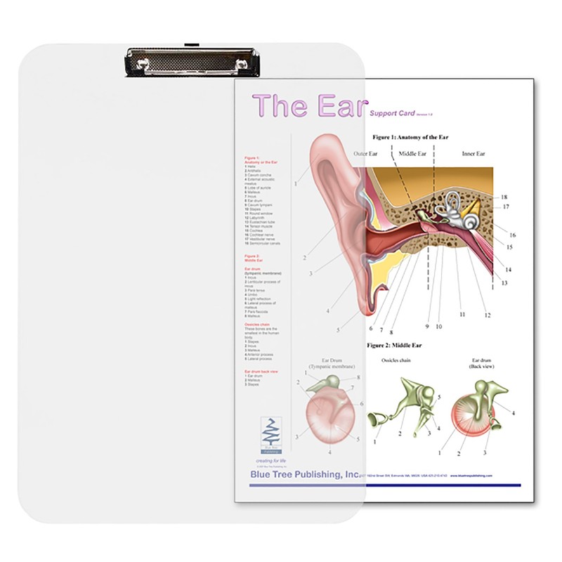 Ear Insert clipboard