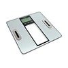 Body Fat Scales