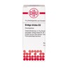 Ginkgo Biloba D3 DHU Globules, 10 g Globules