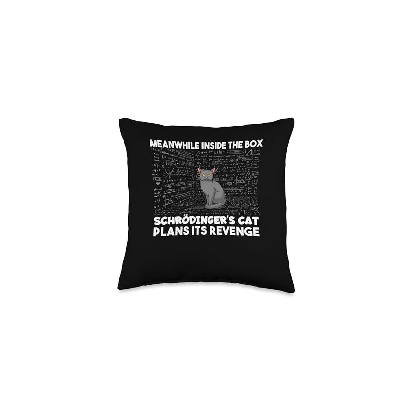 Schrödingers Cat Inside The Box Funny Physics Student Throw Pillow