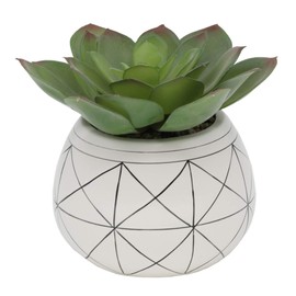 Flora Bunda Mid Century Artificial Plants Artificial Succulent in 6.5 Inch Round Geometric Hand Painted Planter with Legs,6.5" Round White/Black Line