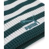 Puma Classics Mid Fit Beanie 025677 Knit Hat, Cold Green/Puma