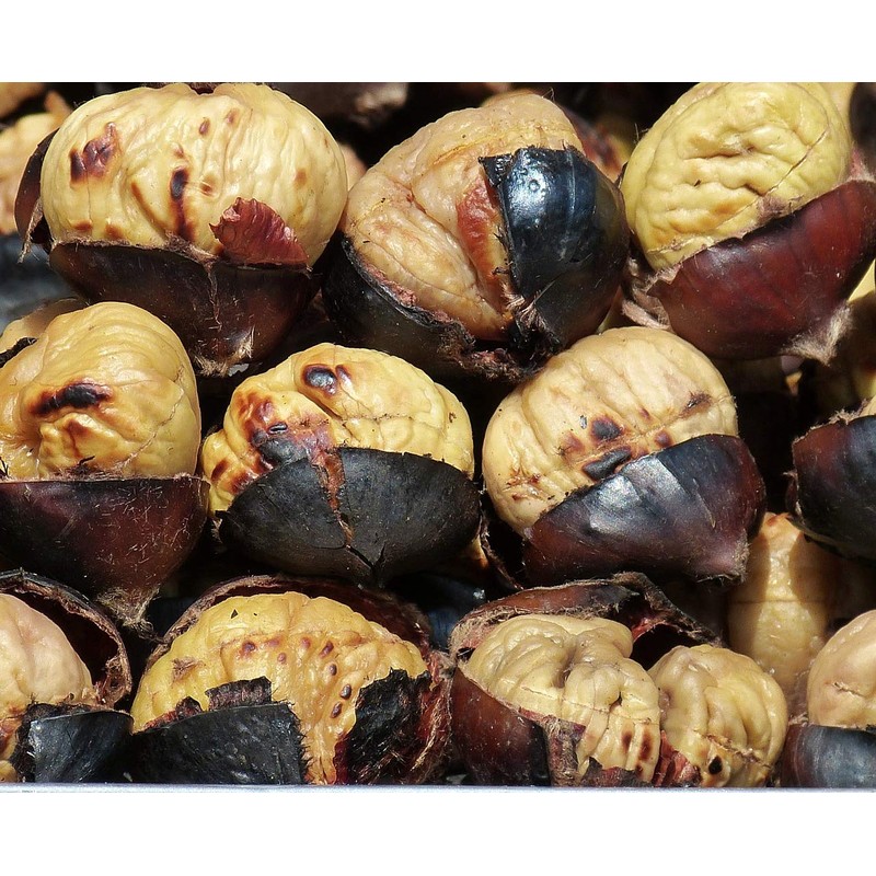 FACKELMANN Maronenschneider 17cm, Körper: Kunststoff, Braun, ca. 17,5cm