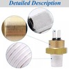 GOLICC Pool Heater Repair Kit - Replacement for Pentair MasterTemp