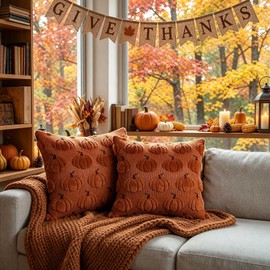 Benjia Autumn 20x20 Cushion Covers Set of 2, Fall Pumpkin Throw Pillow Covers Soft Plush Faux Fur Wool 50 x 50 cm Autumn Cushion Case for Indoor Home Bedroom Couch Sofa Decor (Brown)