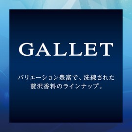 晴香堂(HARUKADO) カーオール 車用 芳香剤 ギャレット スカッシュ 20g EX-64