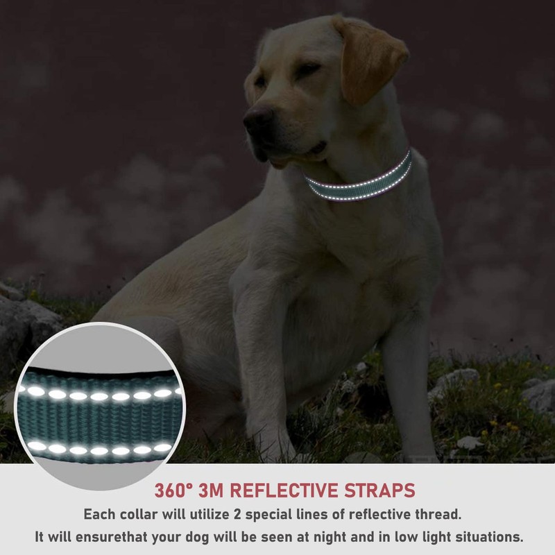 Reflective Dog Collar with Buckle Adjustable Safety Nylon Collars for