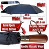 THUNDERBAY UMBRELLA Automatic Open And Close Wind Resistant And Waterproof,