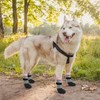 KOOLTAIL Anti Slip Dog Socks for Hot/Clod Pavement to Prevent