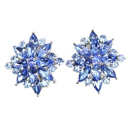Faship Blue Crystal Clip On Earrings - Blue