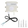 High Accuracy Greenhouse CO Sensor Detector Wall Mounted Carbon Monoxide