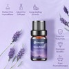 Sleep Essential Oils, Essential Oil Blends for Diffusers for Home