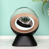Watch Winder High End Automatic Double Watch Winder for Women