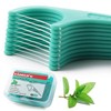 FAMILIFE Floss Picks, 240 Count Mint Dental Floss Cleaner, Tooth