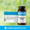 BIOHERBA Grnkohl Kapseln C 100 Stck mit 370?mg Vollspektrum-Grnkohl von