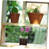 SUPVOX 5pcs Acrylic Orchid Pots with Saucers Transparent Nursery for