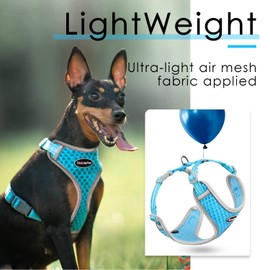 ThinkPet Reflective Breathable Soft Air Mesh No Pull Puppy Choke Free Over Head Vest Harness for Puppy Small Medium Dogs and Cats Light Blue Large