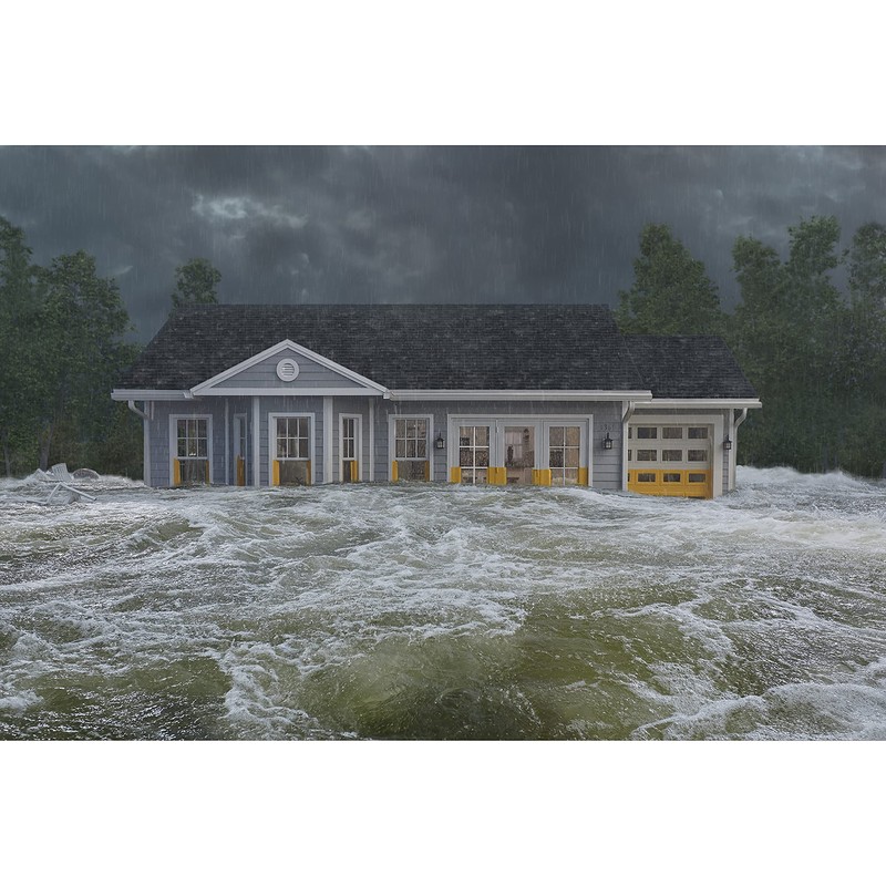Flex Seal Flood Protection Multi-Purpose Kit, Waterproof, Removable, Use on