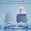 Face Ice Mold, 1 Count/2 Counts/3 Counts Silicone Ice Face