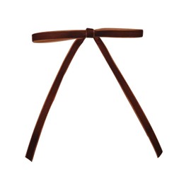 AIXXCUVQ 24piece Sturdy Velvet Bows for Long-Lasting Christmas Decor Red Bows for Christmas Tree Plush Christmas Tree Velvet Bows, Brown