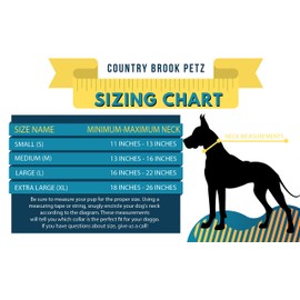 Country Brook Petz - Premium Pink Leopard Collar and Leash - Animal Prints Collection with 8 Wild Designs (5/8 Inch, Small)