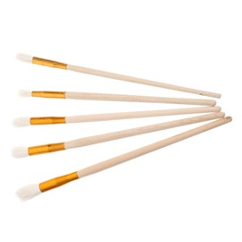 Toddmomy Pollination of Tomatoes Made Easy 5pcs Plant Pollinator Pen Tool Vegetable Pollination Brush Sprayer Garden Fruit Pollinator for Home Use