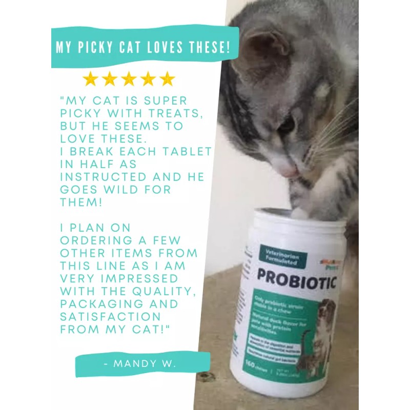 Probiotic for Dogs & Cats, Travel Pack (6) - Digestive
