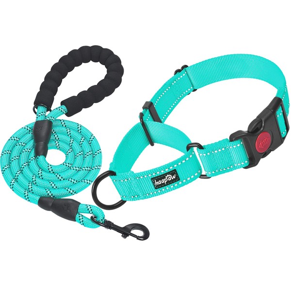 haapaw 2 Packs Martingale Dog Collar with Quick Release Buckle