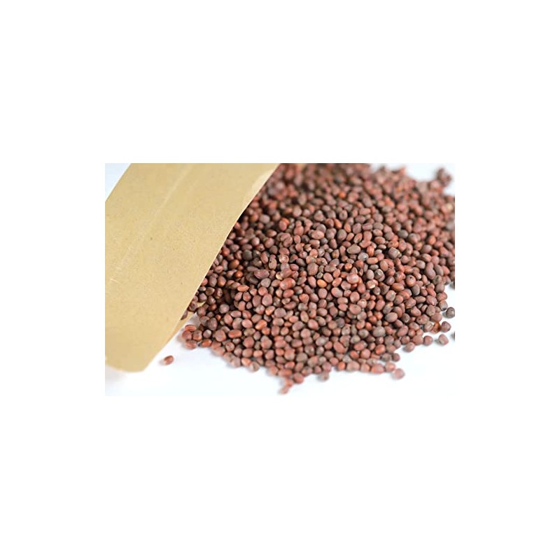 New Packaging Raphani Semen Lai Fu Zi 莱菔子6oz