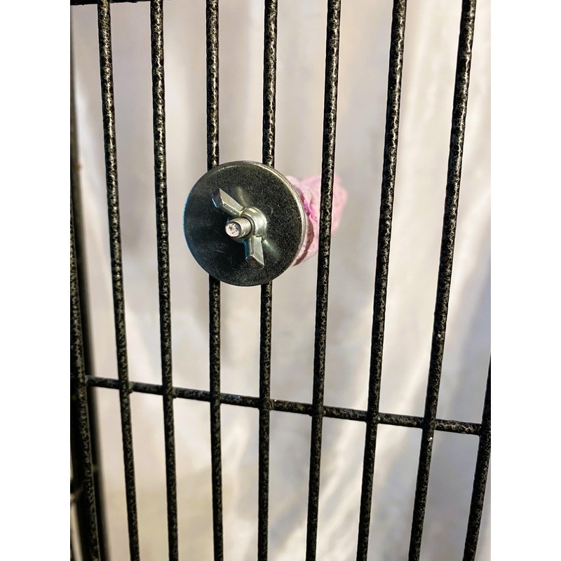 Tooty Fruity Bee Pollen Small Grape