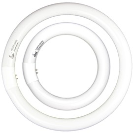 FC8T9 22W and FC12T9 32W Daylight Set , Round Fluorescent Bulb 8 inch T9 22 Watts & Circular Light Bulbs 12 inch 32 Watts kit, Circline Kitchen and Bath Fluorescent Lamp, CRI 80, DL 6500K, G10q Prong