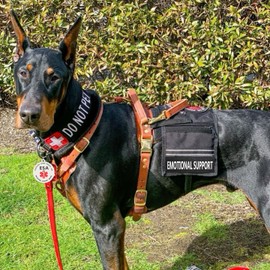 Emotional Support Dog Patches 2 pcs, Emotional Support Animal ESA Dog ID Tag, Double Side Engraved Easily Attach to Dog Collar, Harness or Vest (S)