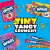Nerds Gummy Clusters, Summer Candy, Rainbow, Resealable 8 Ounce Bag