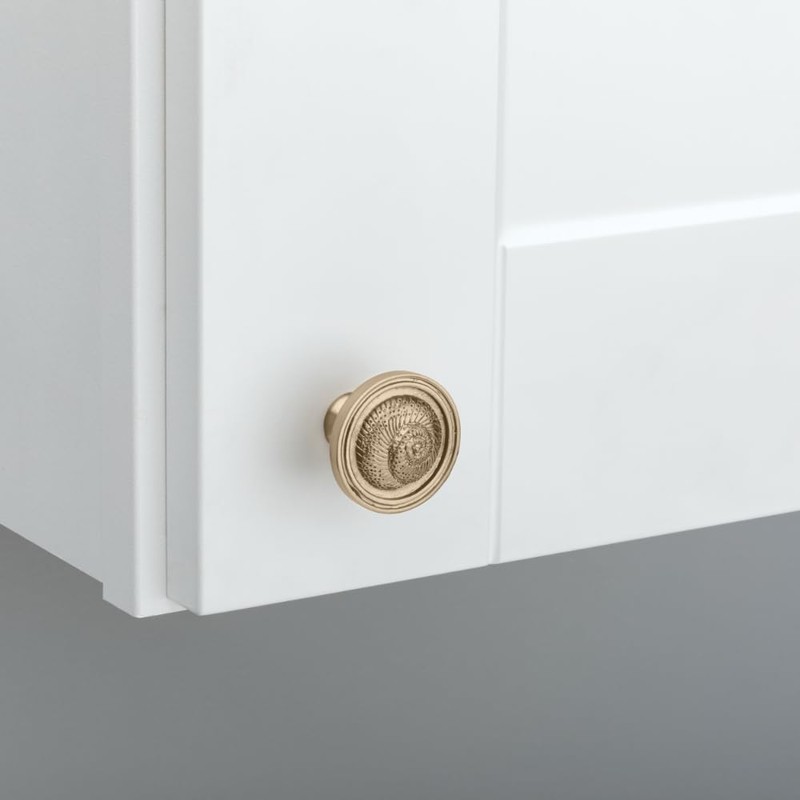 FRANKLIN BRASS Seaside Nautilus (5-Pack) Cabinet Knobs Champagne Bronze Drawer