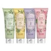 Elclair peeling gel 4-piece set (avocado, lavender, lemon, rose) / 엘클레어 필링젤 4종 세트(아보카도,라벤더,레몬,로즈)
