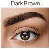 Demure Eyebrow Tint Set with Developer, 20+ Applications, Up to