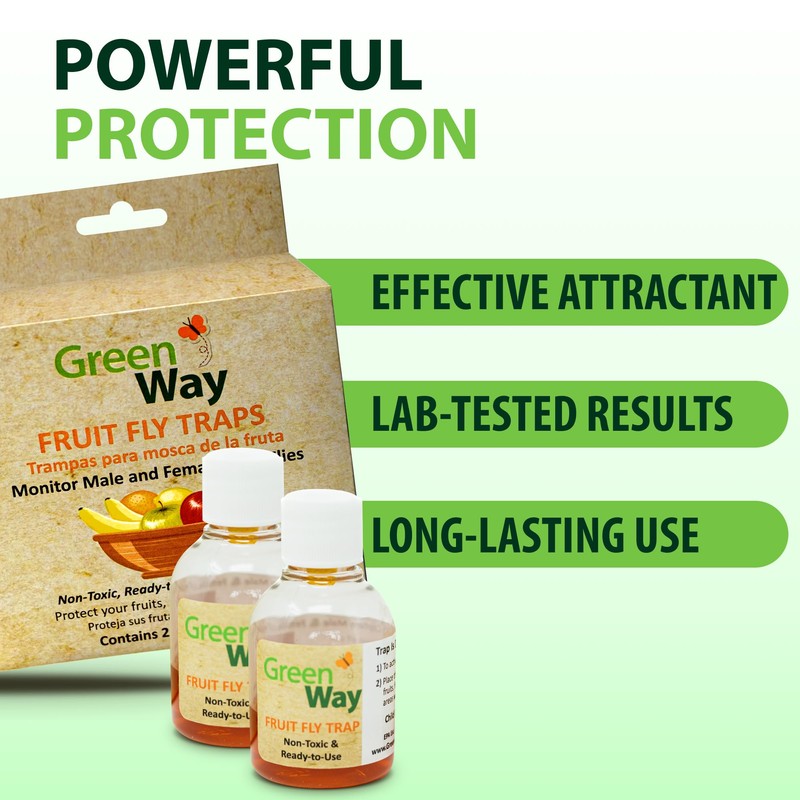 Greenway Traps Fruit Fly Trap, Indoor and Kitchen, Reduced Fruit
