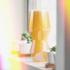 Sempli Monti 13 oz IPA Beer Glasses - Set of
