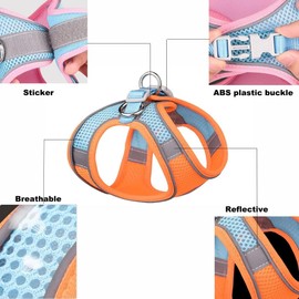 Dogs Kingdom Soft No Pull Dog Harness - Adjustable Pet Vest with Control Handle - Adorable Reflective Daily Harness - Step in Mesh Dog Cat Harness Leash Set,Orange,XXS