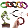 Tree Training Wire Kit - 5 Rolls (164ft),Bonsai Training Wires