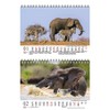 Elephant Magic DIN A5 Desk Calendar for 2022 Elephants Seelenzauber