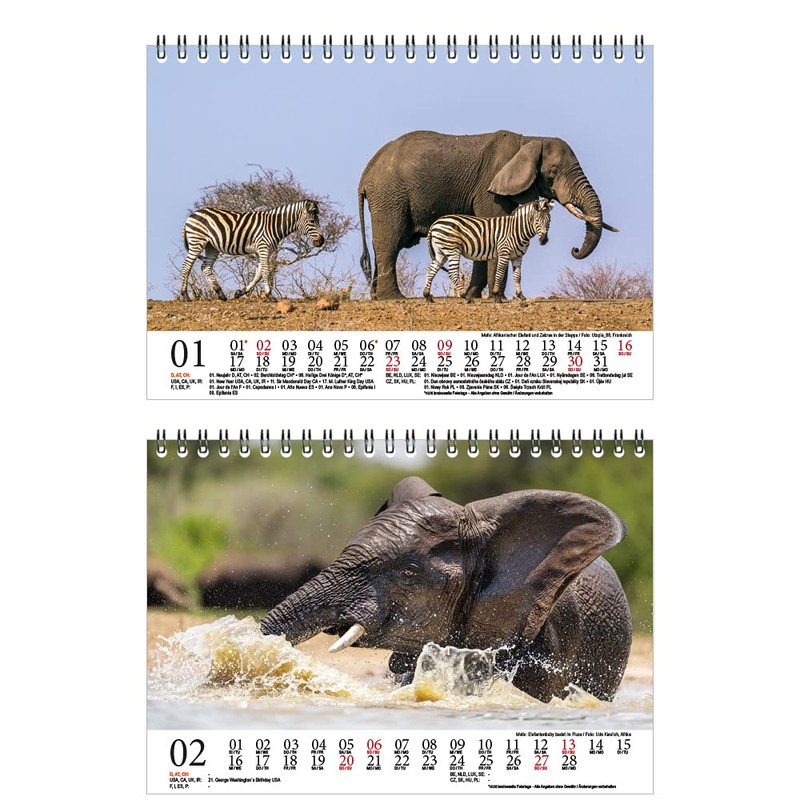 Elephant Magic DIN A5 Desk Calendar for 2022 Elephants Seelenzauber